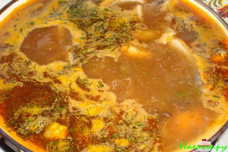 Рыбная солянка с форелью и судаком