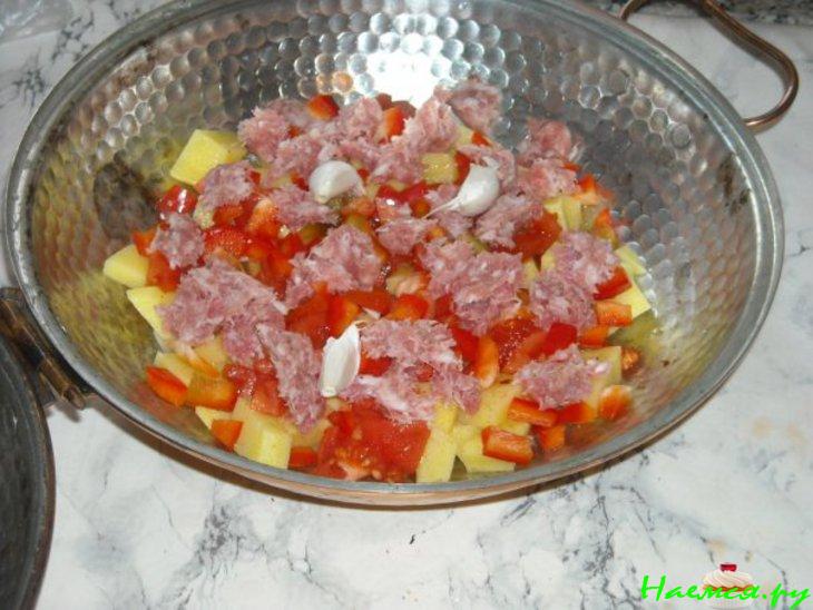 Моллюски в Катаплане