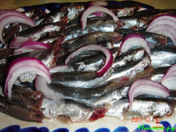 Хамса слабосоленая