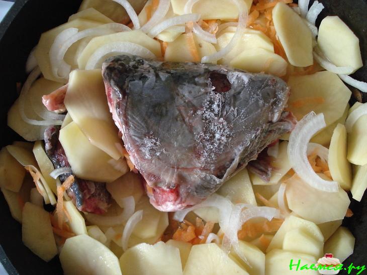 Уха (из головы) Уха (из головы)