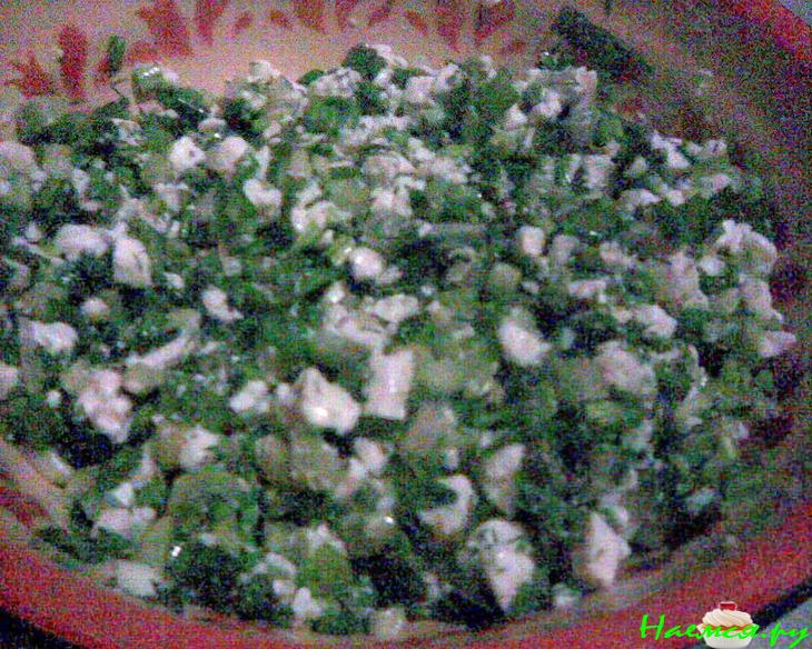 Черемша - 2 варианта начинки для пирожков