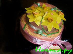 Мой торт 'два в одном'