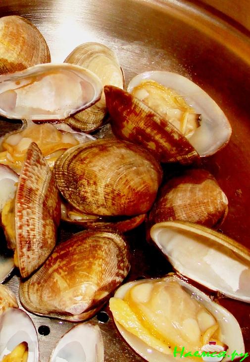 Морские ракушки Морские ракушки