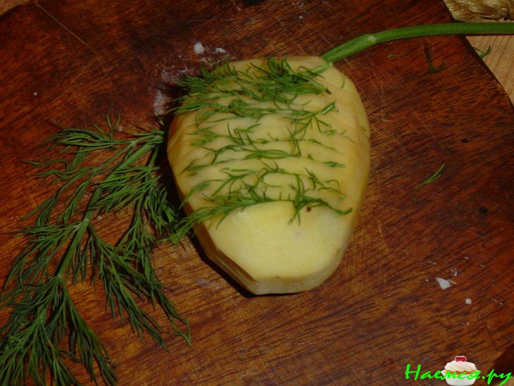 Картошка-гармошка с укропом Картошка-гармошка с укропом