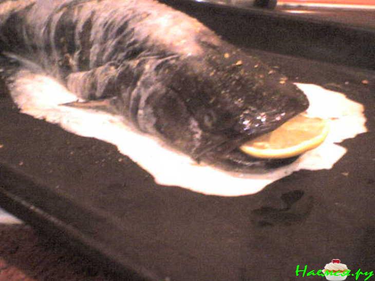 1-й способ как заставить Сома бросить курить