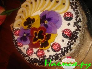 Торт "Мишель" бисквитный с курдом Торт "Мишель" бисквитный с курдом