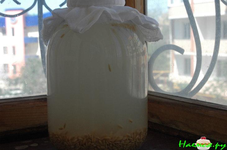 Квас овсяной