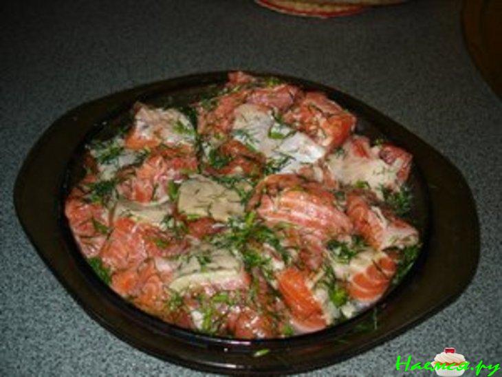 Лосось гриль с овощными рулетами