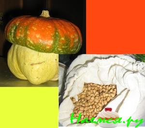 Тыква с машем Тыква с машем