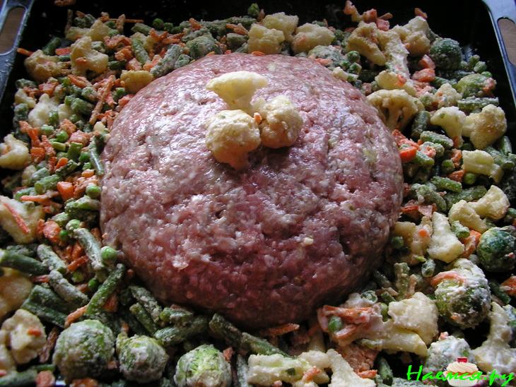 Вулкан на полянке Вулкан на полянке