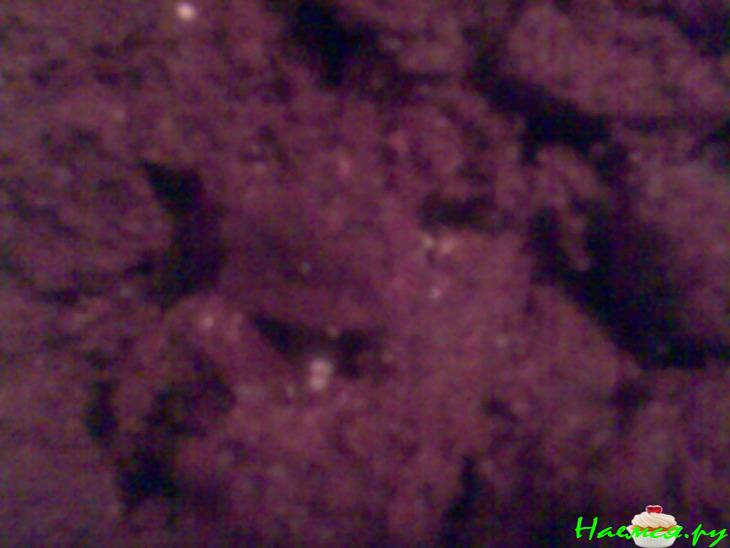 Торт 'Санчо' Торт 'Санчо'