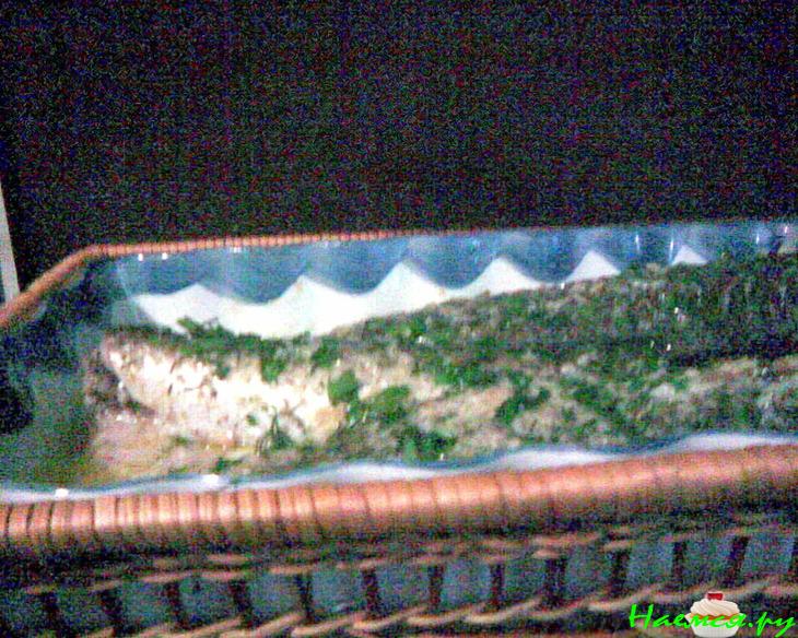 Пеленгасы с чесночком