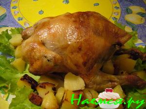 Кура-гриль Кура-гриль