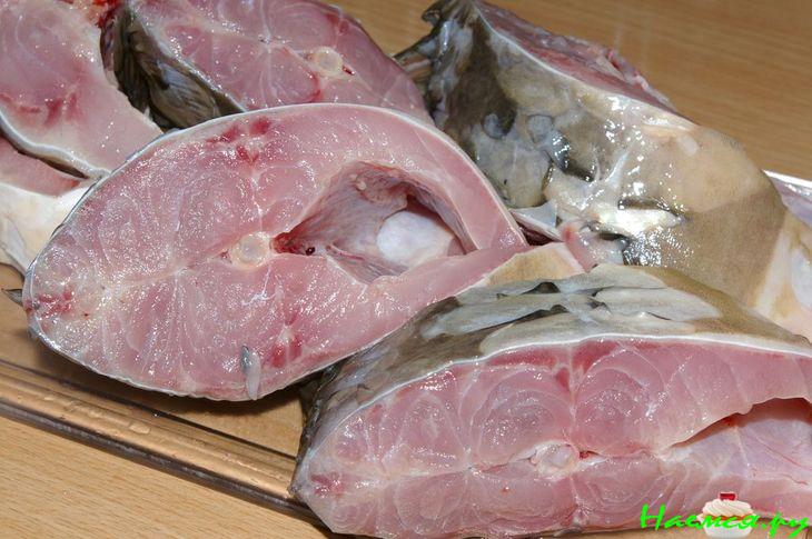 Звезда ужина - Карп зеркальный Звезда ужина - Карп зеркальный