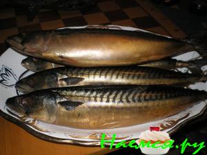 Скумбрия холодного копчения Скумбрия холодного копчения