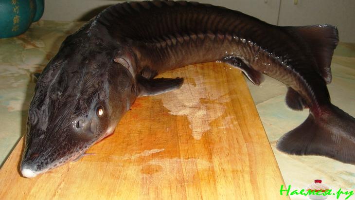 Стерлядь запеченная