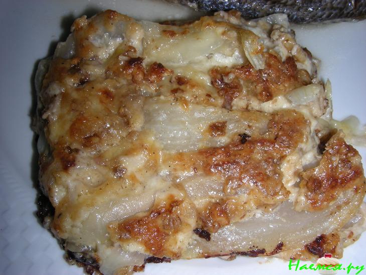 Гратен из фенхеля и лука в орехово-сливочном соусе Гратен из фенхеля и лука в орехово-сливочном соусе