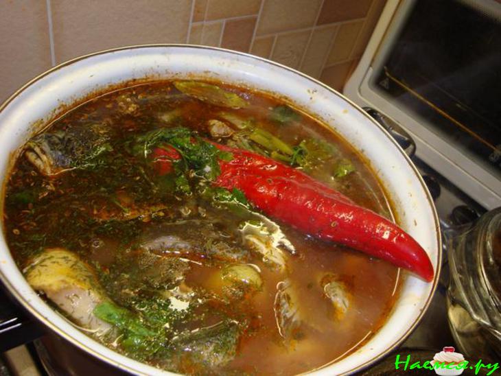 Уха донская станичная Уха донская станичная