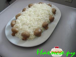 Грибы на "снегу"