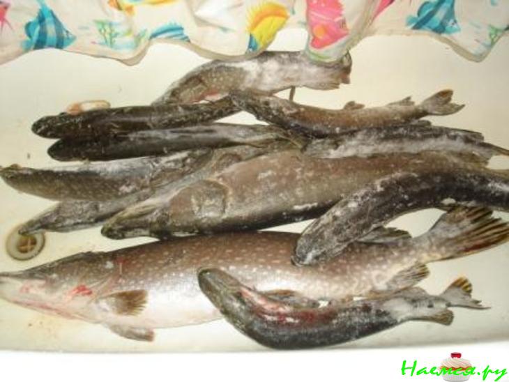 Пельмени рыбные