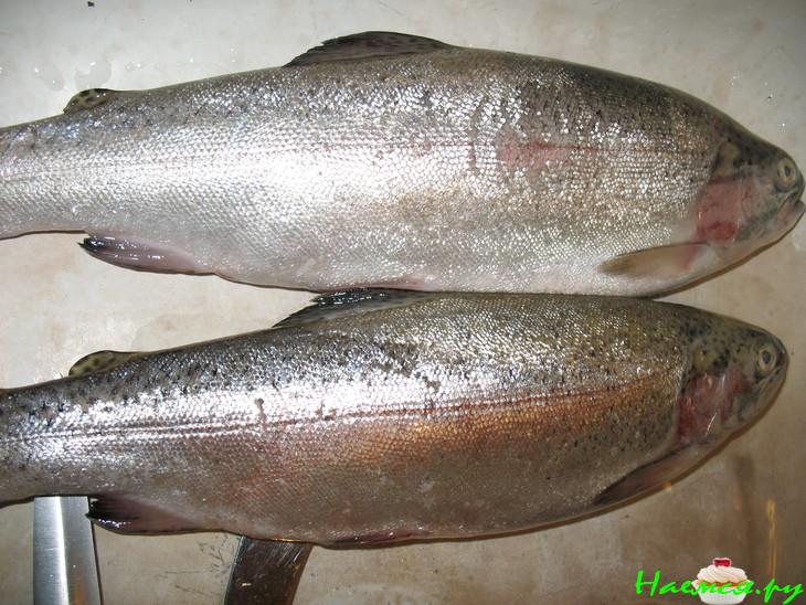 Копченая рыбка домашняя