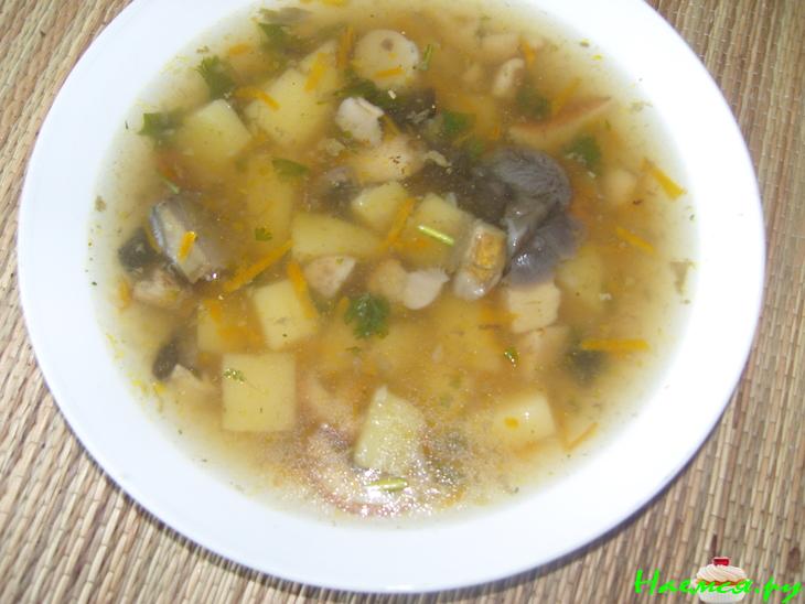 Грибной супчик с лесными грибами Грибной супчик с лесными грибами