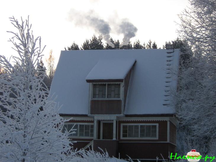 Сбитень Медведевский