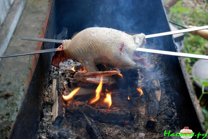 Супчик из дикой утки на огне Супчик из дикой утки на огне