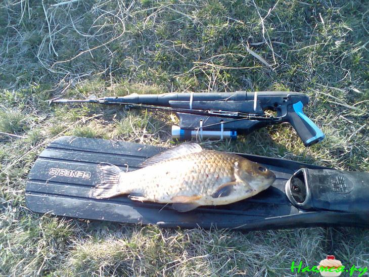 Оладушки рыбные из Щучки