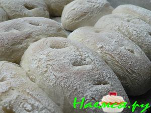 Панини - пресные итальянские булочки