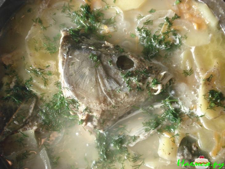 Уха (из головы) Уха (из головы)