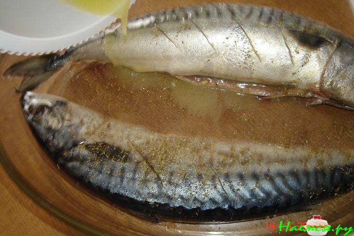 Скумбрия пряная из духовки Скумбрия пряная из духовки