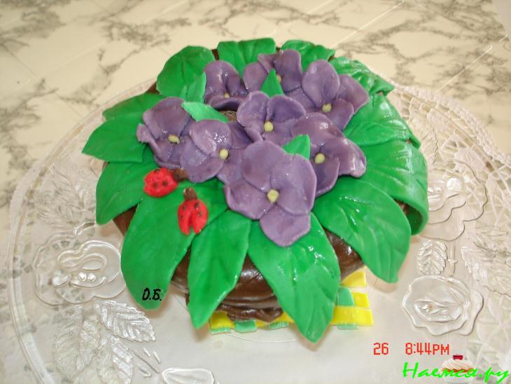 Торт "Горшочек с фиалками"