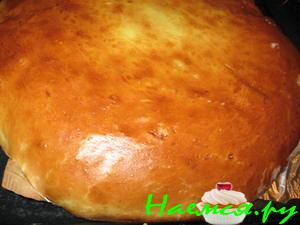 Пирог с творогом и изюмом (дрожжевое тесто с медом)