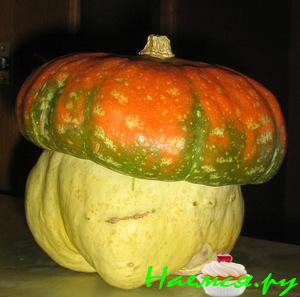 Тыквы-грибочки запеченные