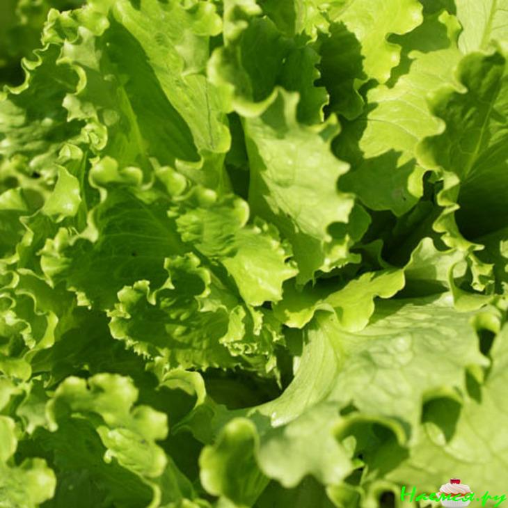 Канапе с креветками, сыром и маслинами Канапе с креветками, сыром и маслинами