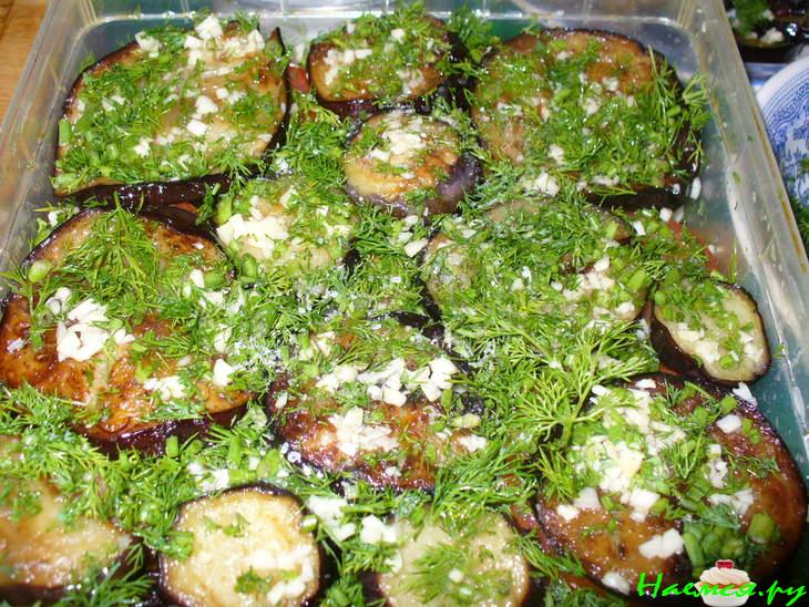 Баклажаны "Тусик"