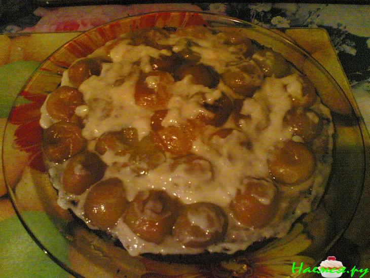 Торт с абрикосами и апельсинами Торт с абрикосами и апельсинами