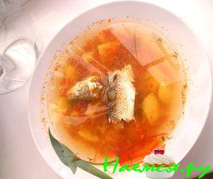 Уха из 4х видов рыб