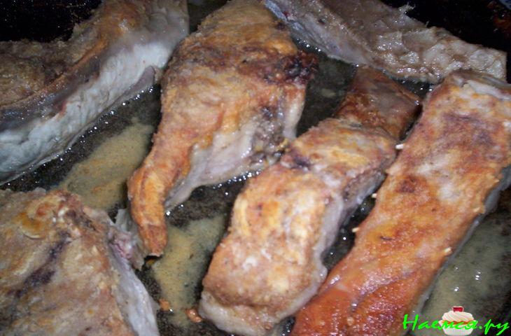 Сазан с Луком