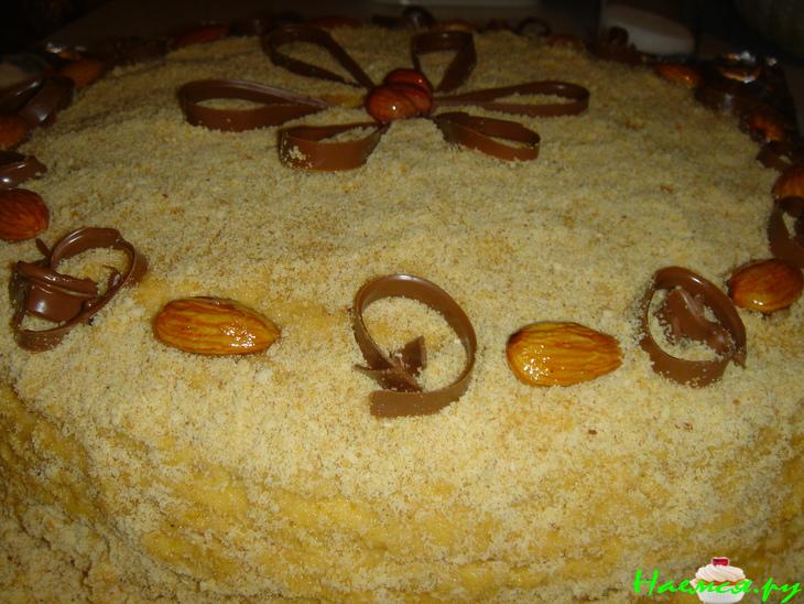 Торт "Медовичок" Торт "Медовичок"