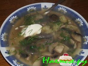 Шампиньоновый суп