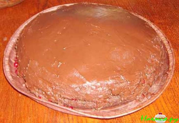 Торт шоколадно-кокосово-бручничный