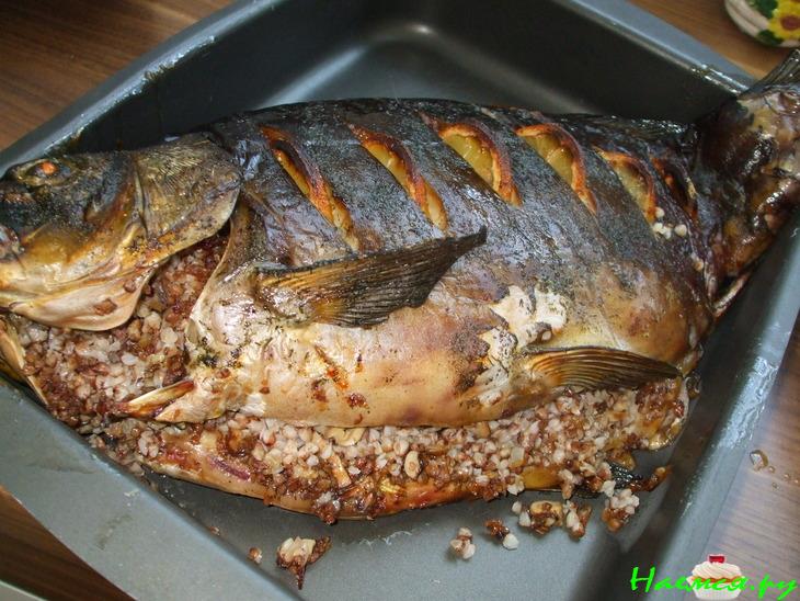 Карп фаршированный гречкой и шампиньонами