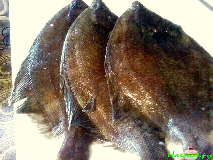 Камбала запечённая