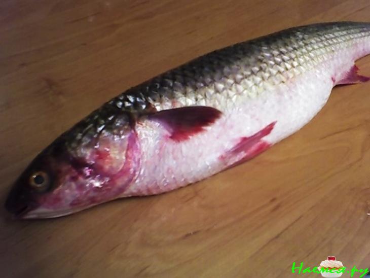 Рыбка на завтрак Рыбка на завтрак