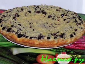 Сметанный пирог с черной смородиной