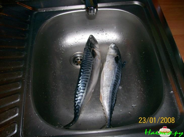 Скумбрия в маринаде гриль