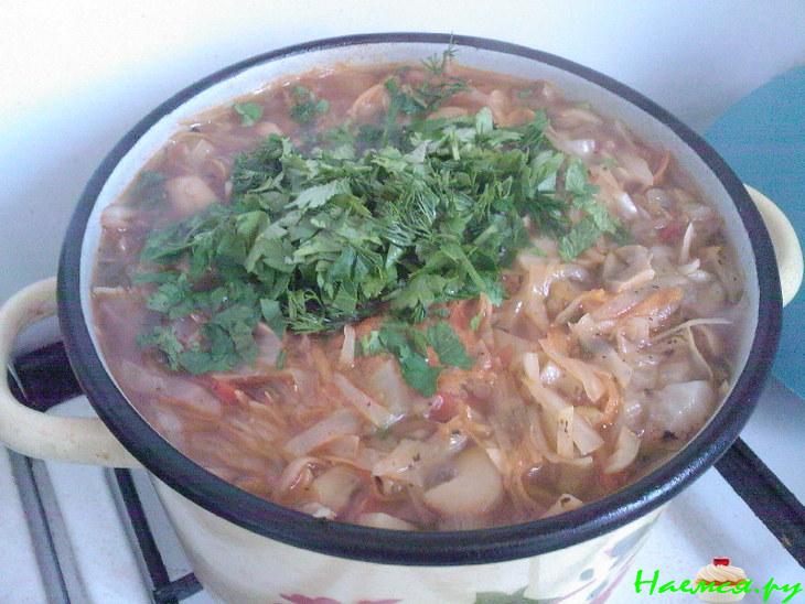 Щи из квашенной капусты с грибами Щи из квашенной капусты с грибами