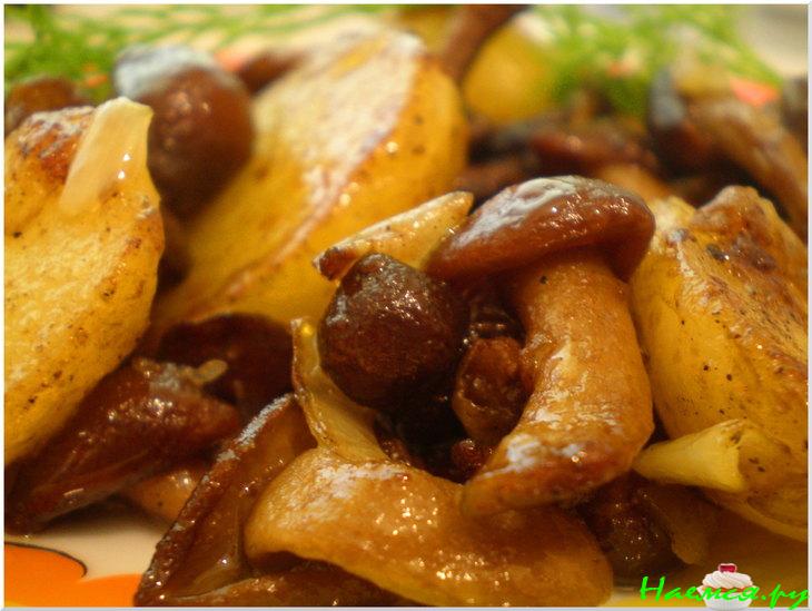 Опята с молодой картошечкой